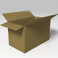 DW  cardboard box Icon