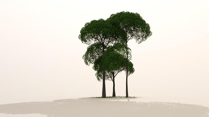 Low Poly Tree Generator