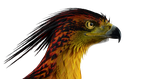 screenshot thumbnail