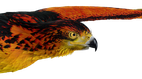 screenshot thumbnail