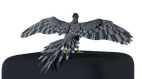 screenshot thumbnail