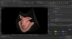 screenshot thumbnail