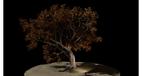 screenshot thumbnail