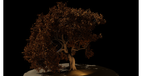 screenshot thumbnail