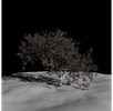 screenshot thumbnail