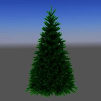 Pine Tree Icon