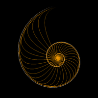 Spiral Icon